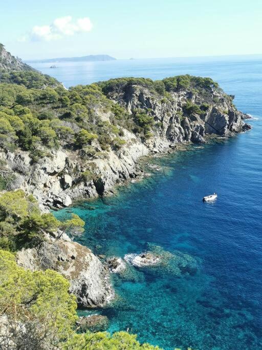 Bel Appartement 6 Personnes - Proche Toutes Commodites Toulon Exteriér fotografie