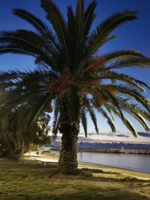 Bel Appartement 6 Personnes - Proche Toutes Commodites Toulon Exteriér fotografie